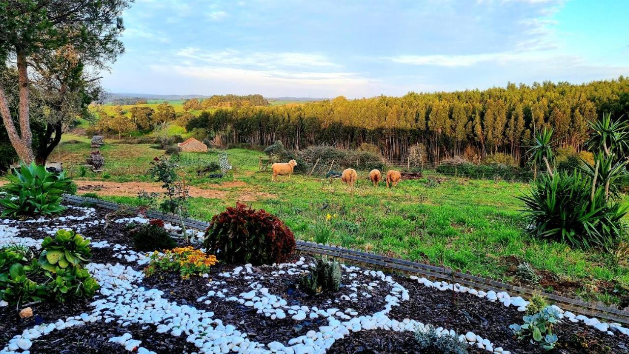 Herdade Monte Novo Do Pocinho Cercal do Alentejo Buitenkant foto