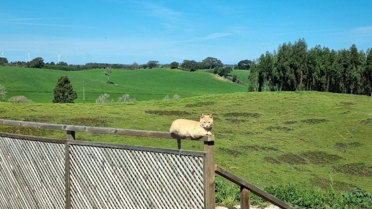 Herdade Monte Novo Do Pocinho Cercal do Alentejo Buitenkant foto
