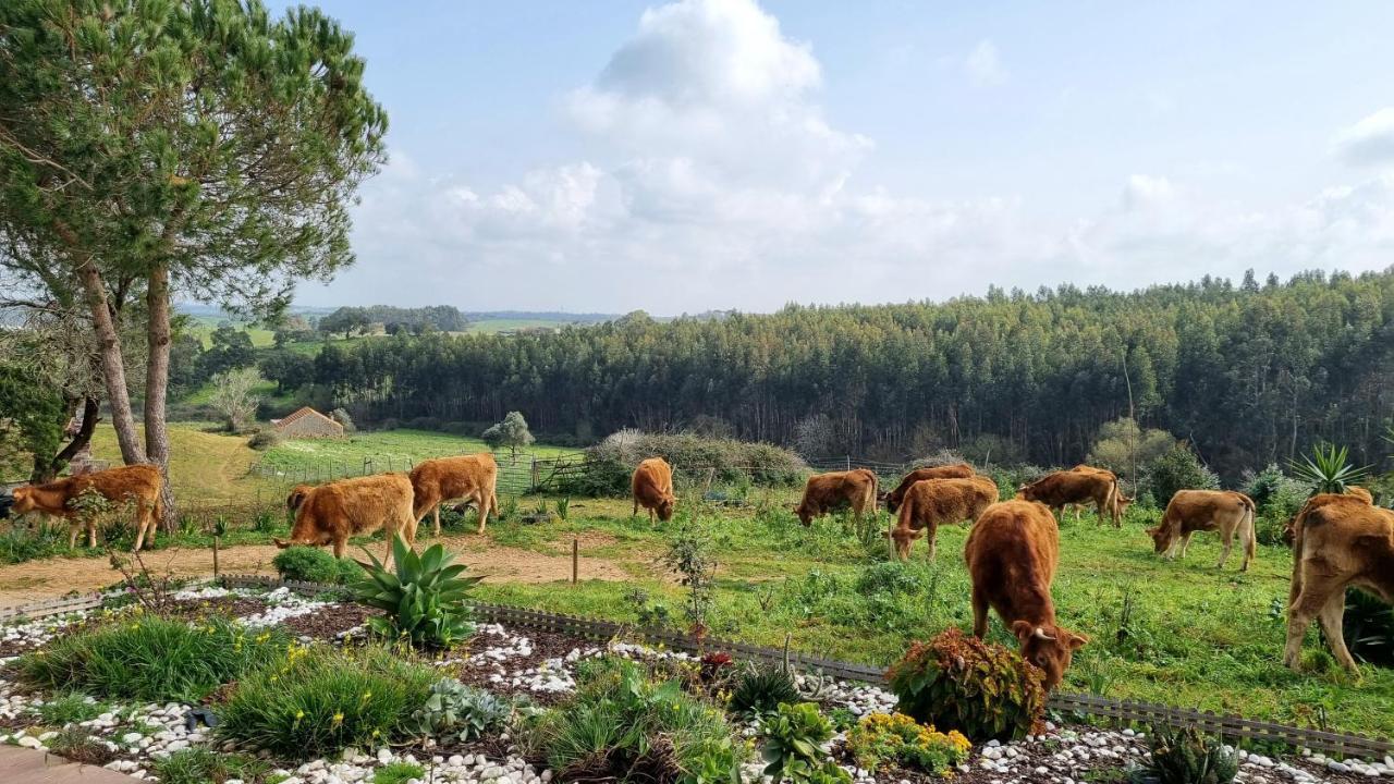 Herdade Monte Novo Do Pocinho Cercal do Alentejo Buitenkant foto