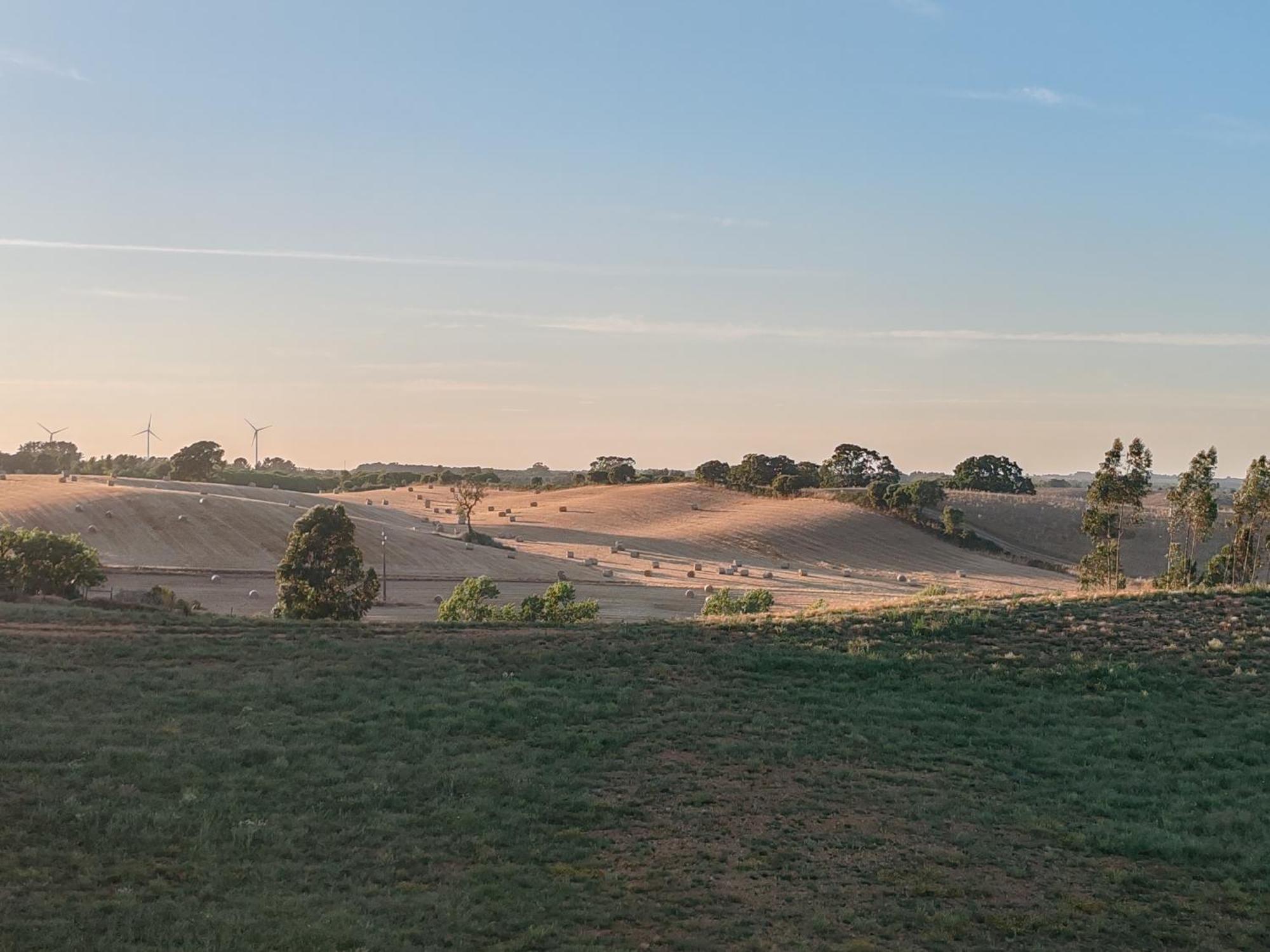 Herdade Monte Novo Do Pocinho Cercal do Alentejo Buitenkant foto